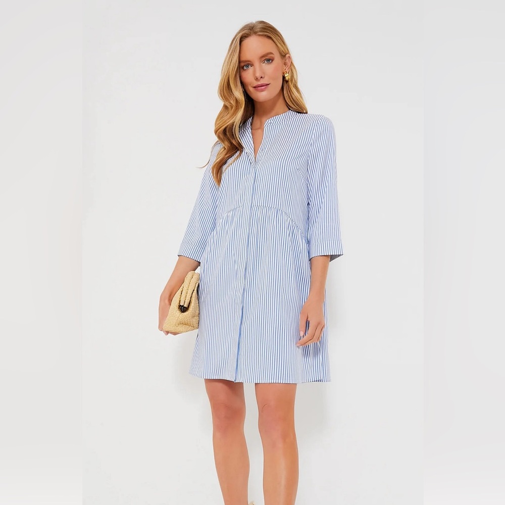 Tuckernuck Blue Stripe Royal Shirt Dress